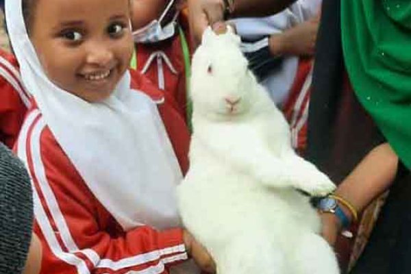 Practical learning - Children with rabbit